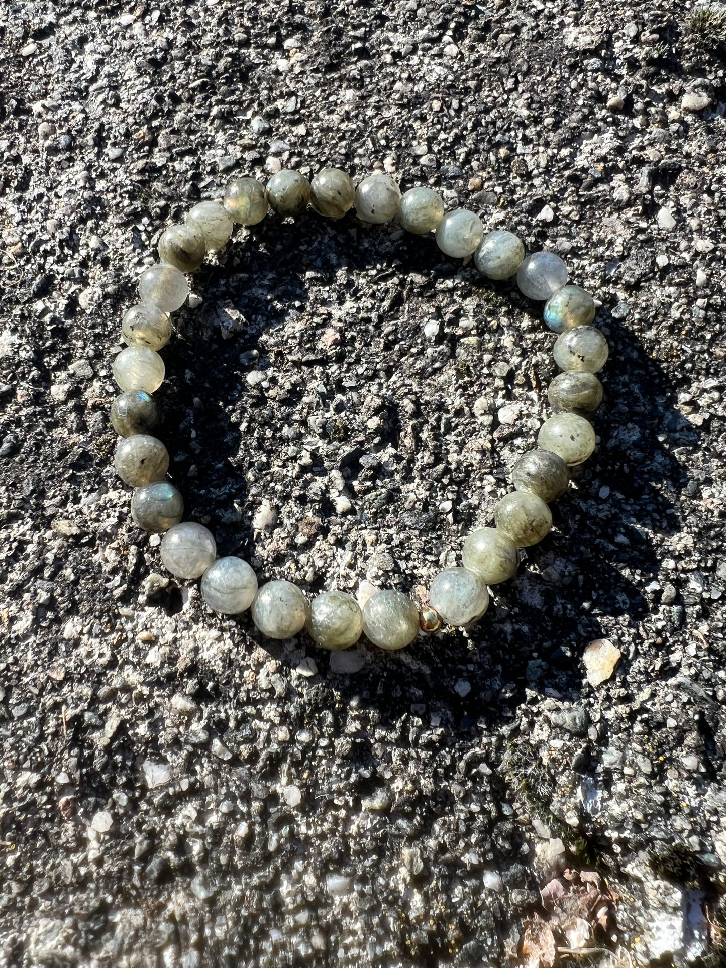 Bracelet Labrador