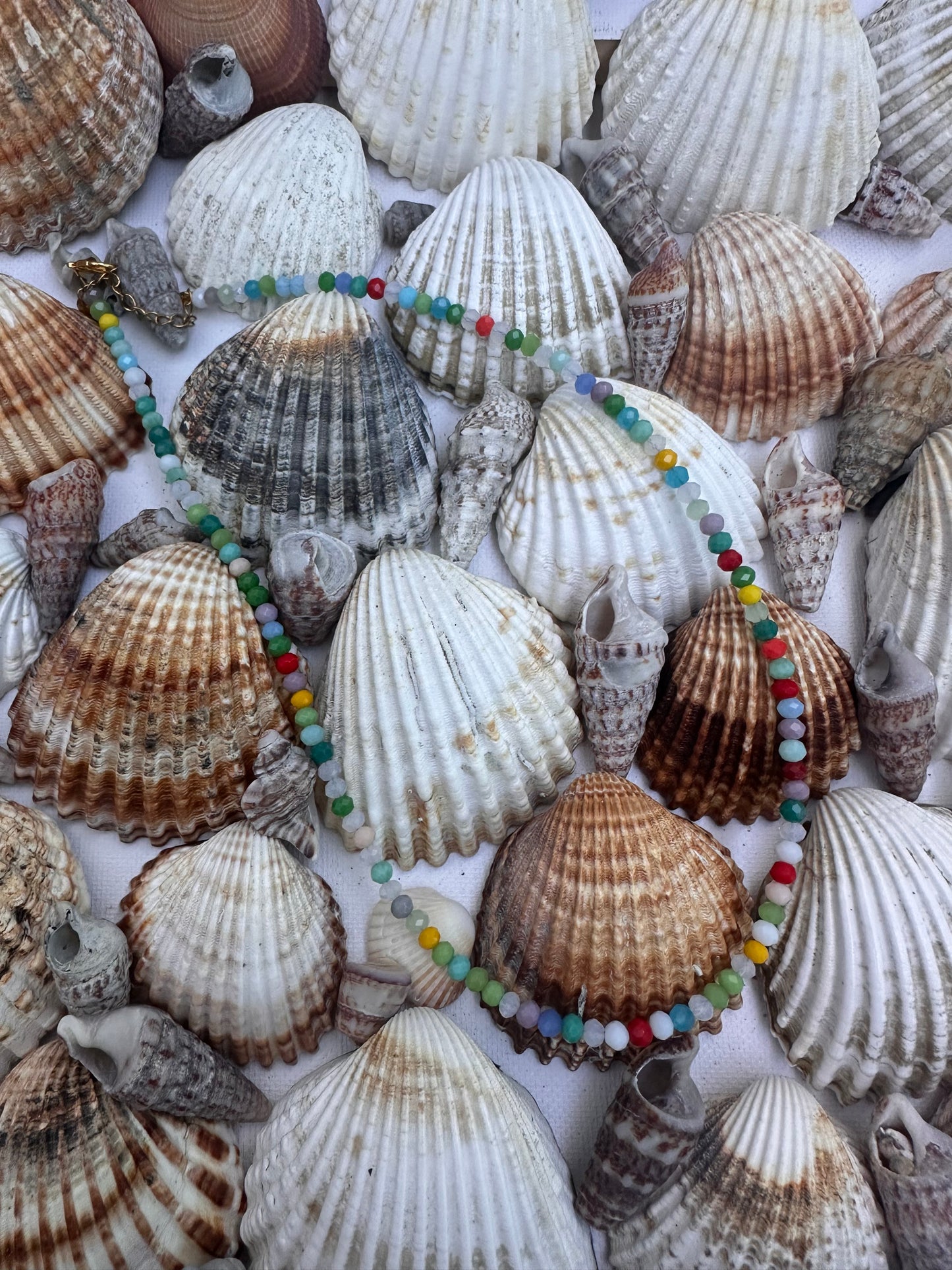 Collier Coralia